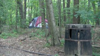 Oil Creek Campground Photo Gallery 17